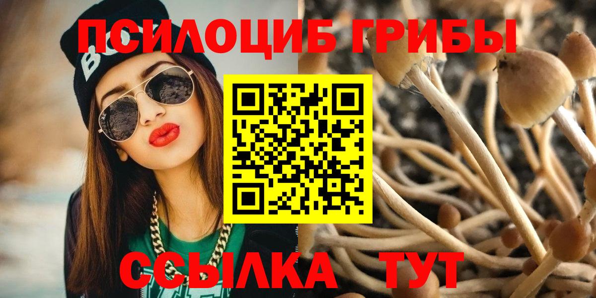 Галлюциногенные грибы Psilocybine cubensis  Вход с VPN  Донецк 